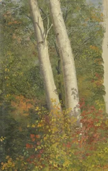 Betulle in autunno